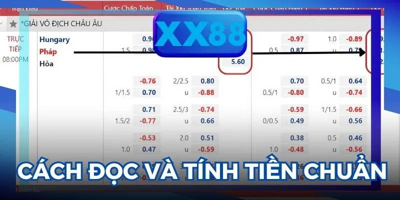 kèo châu Âu