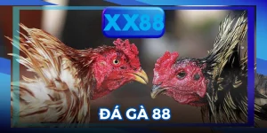 Đá Gà 88