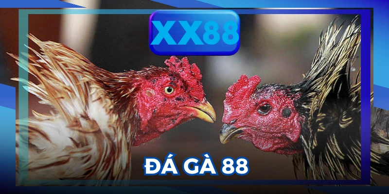 Đá Gà 88