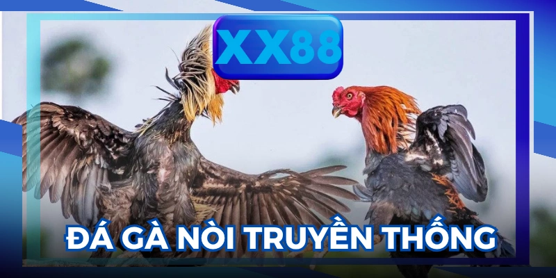 đá gà trực tiếp