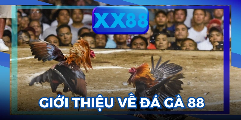 Đá gà 88