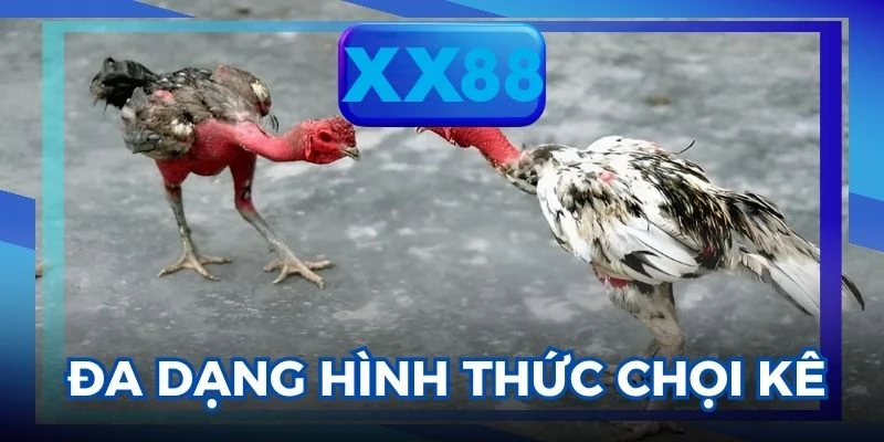 Đá gà