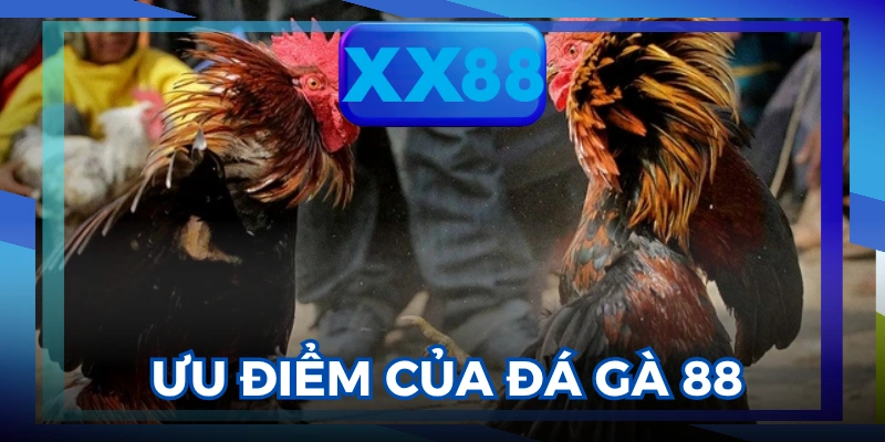 đá gà 88