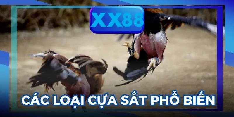 Đá gà cựa sắt