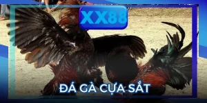 Đá Gà Cựa Sắt